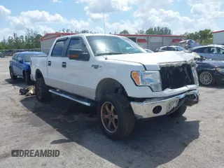 2010 Ford F-150 XL with VIN 1FTEW1C80AFD39898, listed as a IAAI auction lot 42006229 with 191,286 mi miles. Bid and sale history available at carsss.com. Image 1.
