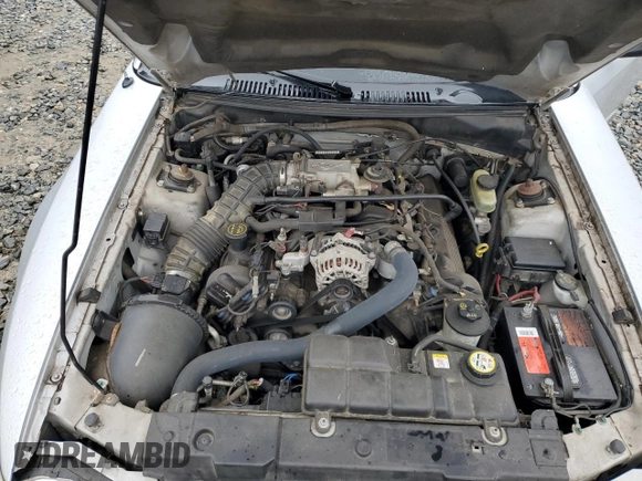 2003 Ford Mustang GT Deluxe with VIN 1FAFP42X33F380899, listed as a Copart auction lot 42158555 with 142,086 mi miles and Salvage Title. Bid and sale history available at carsss.com. Image 11.