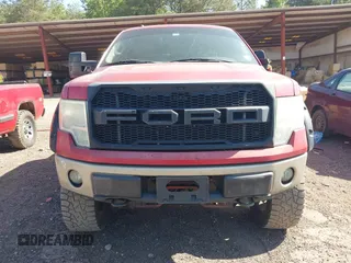 2009 Ford F-150 XL with VIN 1FTPW14V99FA62631, listed as a IAAI auction lot 42027309 with 211,433 mi miles and . Bid and sale history available at DreamBid. Image 12.
