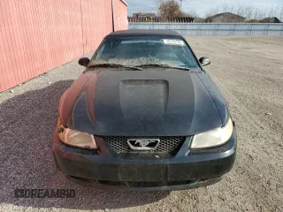 1999 Ford Mustang with VIN 1FAFP4446XF149732, listed as a Copart auction lot 78739144 with Not provided miles and Clean title. Bid and sale history available at DreamBid. Image 5.