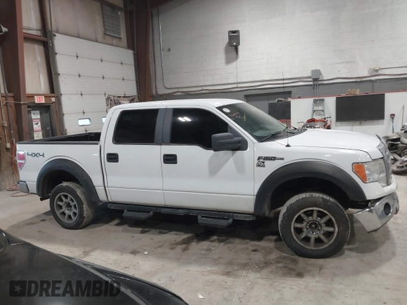 2009 Ford F-150 XL with VIN 1FTPW14V99KC52243, listed as a IAAI auction lot 41500479 with 186,304 mi miles and . Bid and sale history available at DreamBid. Image 13.