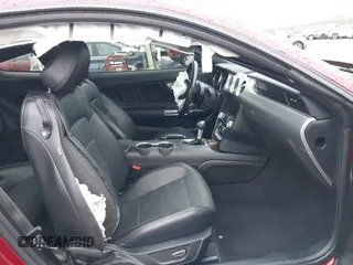 2019 Ford Mustang GT with VIN 1FA6P8CF8K5172826, listed as a IAAI auction lot 41711529 with 41,184 mi miles. Bid and sale history available at carsss.com. Image 5.