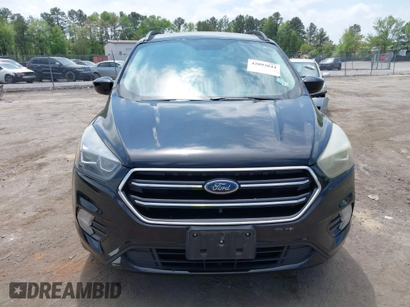 2017 Ford Escape SE with VIN 1FMCU0GD4HUE44010, listed as a IAAI auction lot 42093844 with 177,805 mi miles. Bid and sale history available at carsss.com. Image 12.