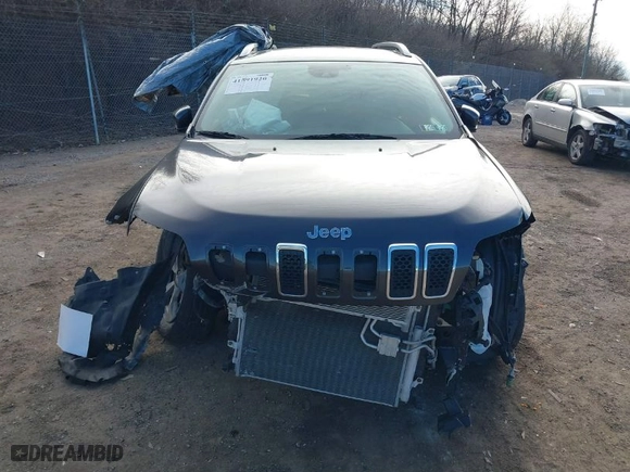 2019 Jeep Cherokee Limited with VIN 1C4PJMDX8KD102295, listed as a IAAI auction lot 41591920 with NaN miles. Bid and sale history available at carsss.com. Image 13.