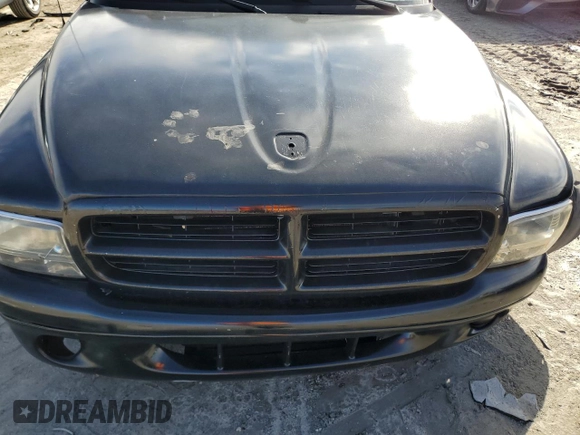 1998 Dodge Dakota SLT with VIN 1B7GL22Y1WS623757, listed as a Copart auction lot 41874295 with 0 mi miles and Salvage Title. Bid and sale history available at carsss.com. Image 11.