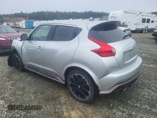 2013 Nissan Juke S with VIN JN8AF5MVXDT219143, listed as a Copart auction lot 49117665 with Not Provided miles and Salvage Title. Bid and sale history available at DreamBid. Image 2.