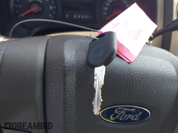 2010 Ford F-150 XL with VIN 1FTEX1CW9AFD31245, listed as a IAAI auction lot 42538912 with 250,921 mi miles and . Bid and sale history available at DreamBid. Image 11.