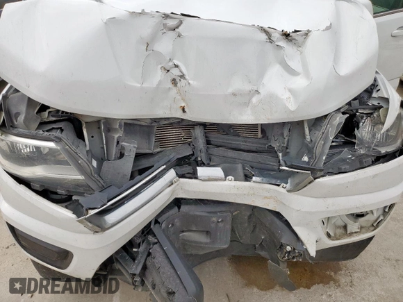 2018 Chevrolet Colorado 2WD LT with VIN 1GCGSCEN6J1186072, listed as a Copart auction lot 55981805 with 125,557 mi miles and Salvage title. Bid and sale history available at DreamBid. Image 11.