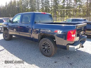 2009 Chevrolet Silverado 1500 with VIN 2GCEK33M391136270, listed as a IAAI auction lot 42149311 with 143,094 mi miles and . Bid and sale history available at DreamBid. Image 3.