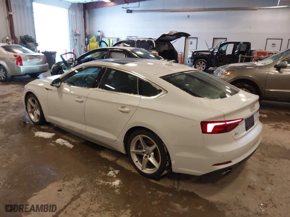 2019 Audi A5 Sportback Premium Plus with VIN WAUENCF58KA044074, listed as a IAAI auction lot 41300962 with 45,001 mi miles. Bid and sale history available at carsss.com. Image 3.