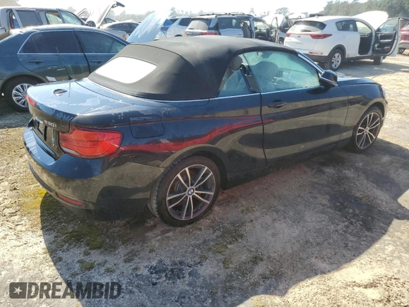 2019 BMW 2 Series 230i with VIN WBA2M7C57K7D33514, listed as a Copart auction lot 73794664 with 0 mi miles and Non Repairable. Bid and sale history available at carsss.com. Image 3.