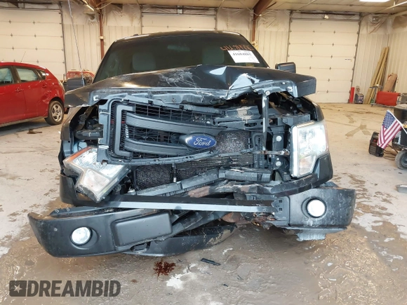 2014 Ford F-150 XL with VIN 1FTFX1EF6EFA91515, listed as a IAAI auction lot 41684885 with 164,052 mi miles. Bid and sale history available at carsss.com. Image 6.