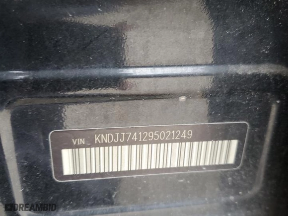 2009 Kia Borrego EX with VIN KNDJJ741295021249, listed as a Copart auction lot 82643094 with 209,580 mi miles and Salvage Title. Bid and sale history available at carsss.com. Image 13.