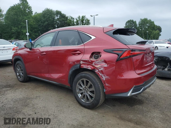 2018 Lexus NX 300h with VIN JTJBJRBZ0J2089531, listed as a Copart auction lot 61930585 with 119,321 mi miles and Salvage title. Bid and sale history available at DreamBid. Image 2.