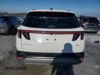 2025 Hyundai Tucson Limited with VIN 5NMJECDE0SH477155, listed as a Copart auction lot 87396494 with 691 mi miles and Salvage Title. Bid and sale history available at carsss.com. Image 6.