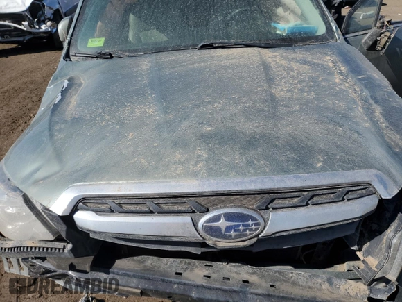 2017 Subaru Forester Limited with VIN JF2SJAJC7HH534356, listed as a Copart auction lot 43217013 with 0 mi miles. Bid and sale history available at carsss.com. Image 13.
