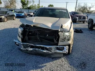 2017 Ford F-150 XL with VIN 1FTEX1CP9HFA07733, listed as a Copart auction lot 44512115 with 96,260 mi miles and Salvage Title. Bid and sale history available at carsss.com. Image 10.