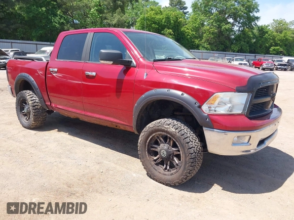 2010 Dodge 1500 SLT with VIN 1D7RV1CT4AS186481, listed as a IAAI auction lot 41977635 with 196,131 mi miles and . Bid and sale history available at DreamBid. Image 1.