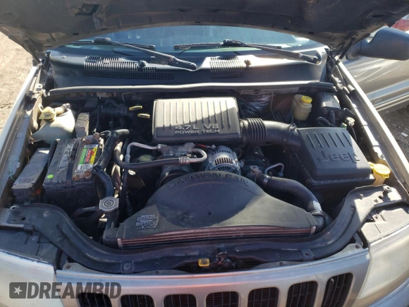 1999 Jeep Grand Cherokee Limited with VIN 1J4GW68N8XC770353, listed as a Copart auction lot 74670614 with Not provided miles and Non repairable. Bid and sale history available at DreamBid. Image 11.