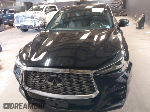 2024 Infiniti QX55 Luxe with VIN 3PCAJ5JRXRF105669, listed as a IAAI auction lot 42155781 with 17,556 mi miles and . Bid and sale history available at DreamBid. Image 13.