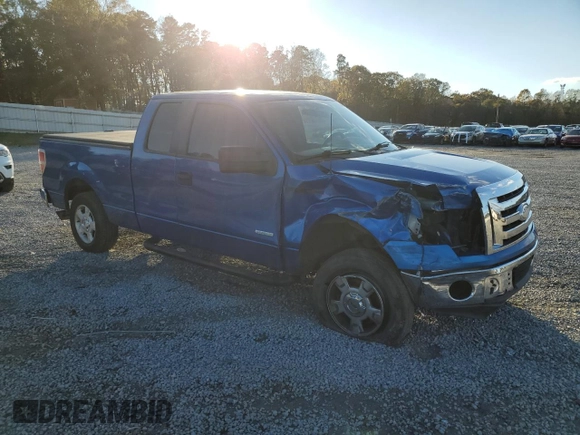 2011 Ford F-150 XL with VIN 1FTFX1CT9BFB94450, listed as a Copart auction lot 81144824 with 213,749 mi miles and Salvage Title. Bid and sale history available at carsss.com. Image 4.