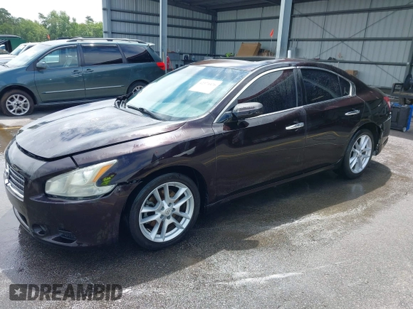 2011 Nissan Maxima SV z VIN 1N4AA5AP4BC806912, wystawiony jako IAAI lot #42374476 z przebiegiem 141 106 mil mil oraz . Historia ofert i sprzedaży dostępna na DreamBid. Obrazek 2.