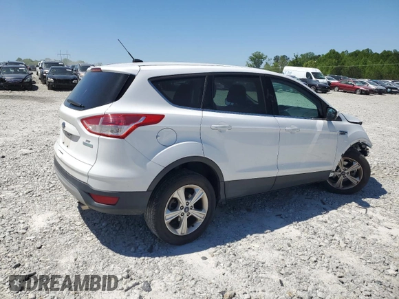 2014 Ford Escape SE with VIN 1FMCU0GX2EUA81549, listed as a Copart auction lot 53231685 with 107,546 mi miles and Salvage Title. Bid and sale history available at carsss.com. Image 3.
