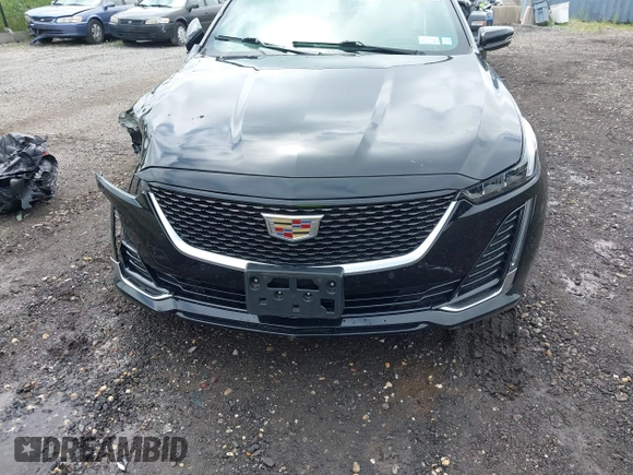 2023 Cadillac CT5 Premium Luxury with VIN 1G6DS5RK9P0110250, listed as a IAAI auction lot 42543032 with 12,305 mi miles and . Bid and sale history available at DreamBid. Image 12.