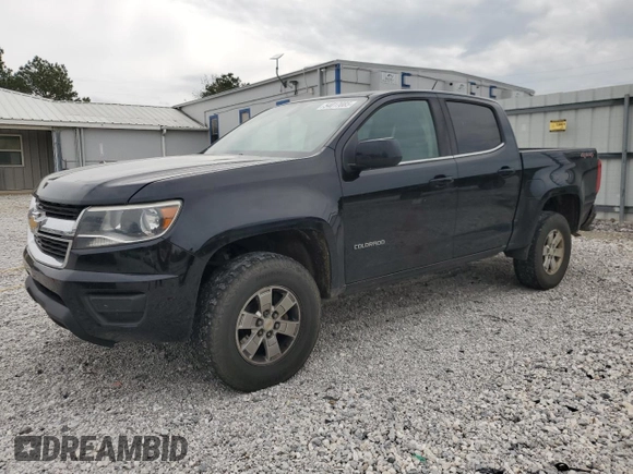 2017 Chevrolet Colorado 4WD WT with VIN 1GCGTBEN0H1314825, listed as a Copart auction lot 54017085 with 171,989 mi miles and Salvage title. Bid and sale history available at DreamBid. Image 1.