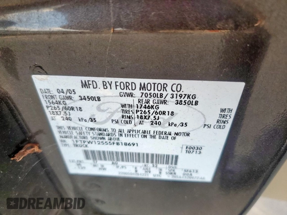 2005 Ford F-150 XLT with VIN 1FTPW12555FB18691, listed as a Copart auction lot 59282695 with 169,451 mi miles and Clean title. Bid and sale history available at DreamBid. Image 13.