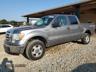 2009 Ford F-150 XL with VIN 1FTRW12869FA73379, listed as a Copart auction lot 61972285 with 181,352 mi miles and Salvage title. Bid and sale history available at DreamBid. Image 1.