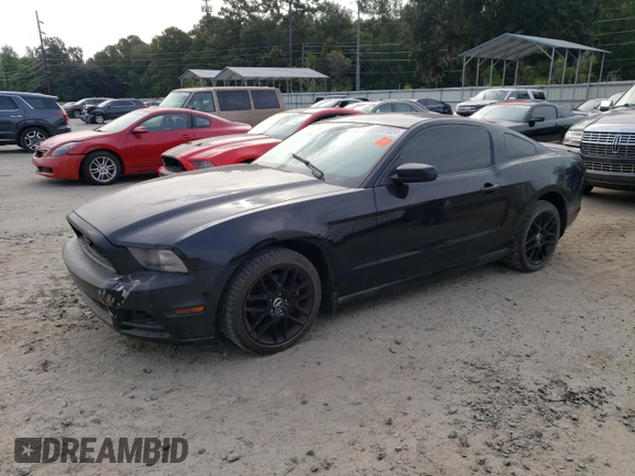 2014 Ford Mustang V6 with VIN 1ZVBP8AM2E5230831, listed as a Copart auction lot 68907824 with 156,753 mi miles and Salvage Title. Bid and sale history available at DreamBid. Image 1.