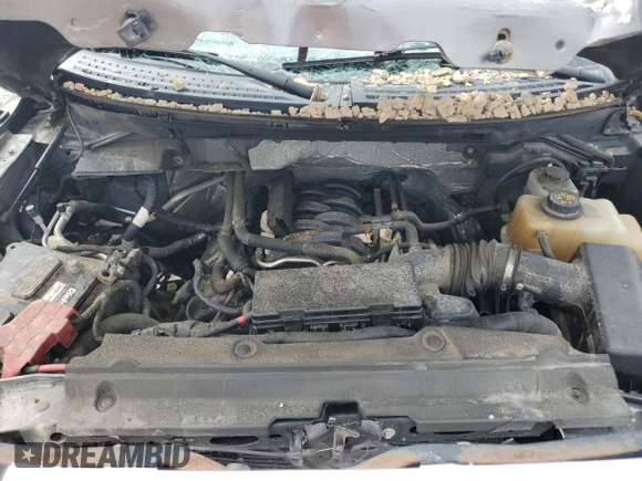 2012 Ford F-150 XL with VIN 1FTFW1EF3CFC92031, listed as a Copart auction lot 57265765 with 173,000 mi miles and Salvage title. Bid and sale history available at DreamBid. Image 11.