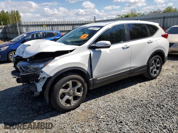 2019 Honda CR-V EX with VIN 2HKRW2H59KH631918, listed as a Copart auction lot 52625905 with 0 mi miles and Clean Title. Bid and sale history available at carsss.com. Image 1.