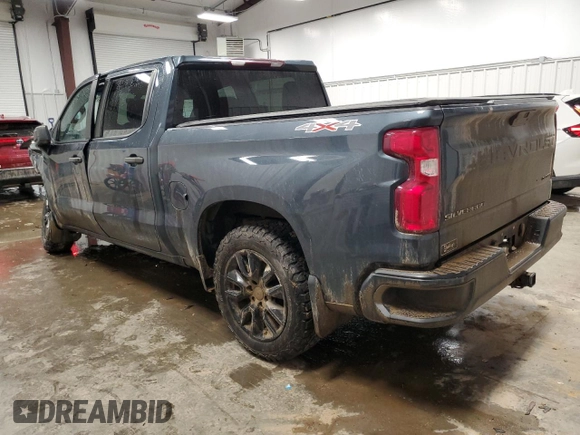 2019 Chevrolet Silverado 1500 Custom with VIN 3GCPYBEH2KG309386, listed as a Copart auction lot 47619785 with Not Provided miles and Salvage Title. Bid and sale history available at DreamBid. Image 2.