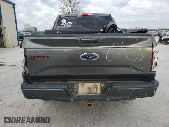 2017 Ford F-150 XL with VIN 1FTEW1EP4HFB03334, listed as a Copart auction lot 80623344 with 123,193 mi miles and Salvage Title. Bid and sale history available at carsss.com. Image 6.