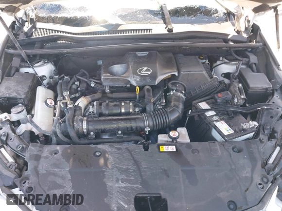 2021 Lexus NX 300 with VIN JTJDARBZ4M5031983, listed as a IAAI auction lot 42260594 with Not provided miles and . Bid and sale history available at DreamBid. Image 10.