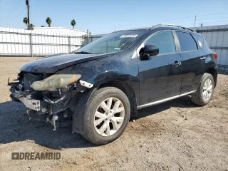 2013 Nissan Murano S with VIN JN8AZ1MU8DW202931, listed as a Copart auction lot 76040234 with 124,104 mi miles and Salvage Title. Bid and sale history available at carsss.com. Image 1.