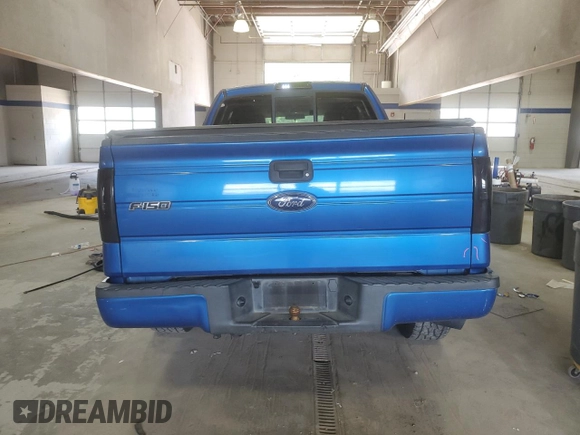2010 Ford F-150 XL with VIN 1FTEX1CW1AFD49058, listed as a Copart auction lot 61545945 with 177,041 mi miles and Clean title. Bid and sale history available at DreamBid. Image 6.