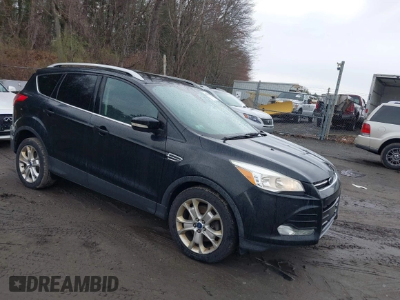 2014 Ford Escape Titanium with VIN 1FMCU9J99EUD38866, listed as a IAAI auction lot 42052579 with 202,337 mi miles. Bid and sale history available at carsss.com. Image 1.