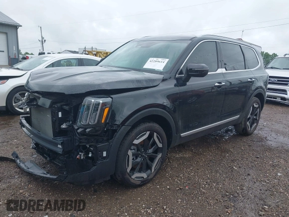 2024 Kia Telluride S with VIN 5XYP64GC3RG552314, listed as a IAAI auction lot 42289614 with 2,408 mi miles and . Bid and sale history available at DreamBid. Image 2.