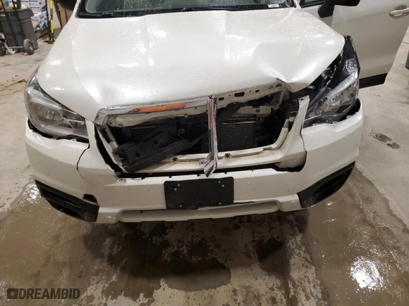 2018 Subaru Forester with VIN JF2SJABCXJH562351, listed as a Copart auction lot 49806555 with 0 mi miles and Non Repairable. Bid and sale history available at carsss.com. Image 11.