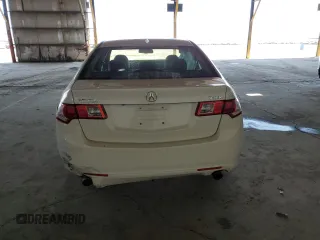 2010 Acura TSX with VIN JH4CU2F66AC015271, listed as a Copart auction lot 54620125 with 46,482 mi miles and Salvage Title. Bid and sale history available at carsss.com. Image 6.