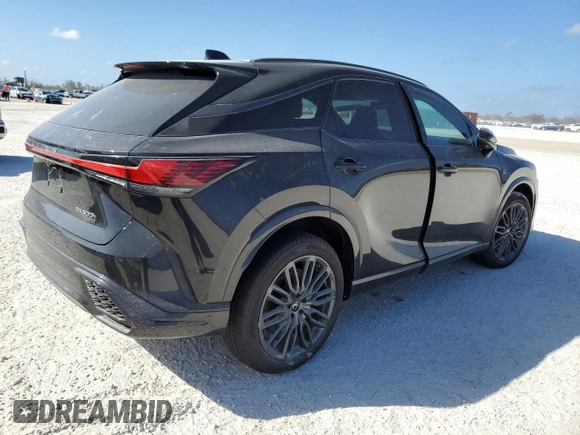 2024 Lexus RX with VIN 2T2BCMEA1RC014397, listed as a Copart auction lot 73970934 with Not Provided miles and Salvage Title. Bid and sale history available at carsss.com. Image 3.