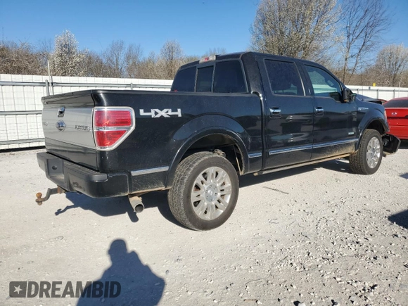 2011 Ford F-150 XLT with VIN 1FTFW1ET5BFA91591, listed as a Copart auction lot 49219635 with 141,516 mi miles and Clean Title. Bid and sale history available at carsss.com. Image 3.