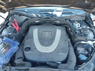 2010 Mercedes-Benz E 550 Luxury with VIN WDDHF7CB8AA161530, listed as a IAAI auction lot 41347163 with 184,364 mi miles and . Bid and sale history available at DreamBid. Image 10.