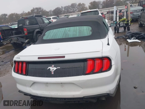 2021 Ford Mustang EcoBoost with VIN 1FATP8UH0M5137364, listed as a IAAI auction lot 41013380 with 31,526 mi miles. Bid and sale history available at carsss.com. Image 17.