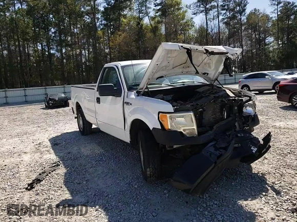 2011 Ford F-150 XL with VIN 1FTMF1CM3BKD52646, listed as a Copart auction lot 50737375 with 211,244 mi miles and Salvage title. Bid and sale history available at DreamBid. Image 11.