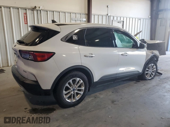 2022 Ford Escape SE with VIN 1FMCU9G61NUA60865, listed as a Copart auction lot 53149995 with Not provided miles and Salvage title. Bid and sale history available at DreamBid. Image 3.