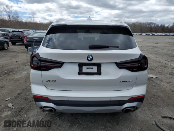 2023 BMW X3 xDrive30i with VIN 5UX53DP03P9S05083, listed as a Copart auction lot 53288355 with Not Provided miles and Salvage Title. Bid and sale history available at DreamBid. Image 6.